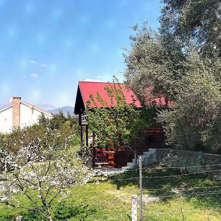 Timber House Βίλα Τίβατ Εξωτερικό φωτογραφία